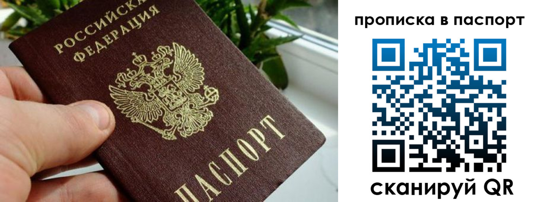 временная регистрация поиск в Сыктывкаре